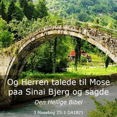 Picture 03 - 3 Mosebog 25:1 DA1871 - Og Herren talede til Mose paa Sinai Bjerg og - Bible Verse Picture