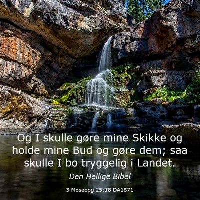 Picture 03 - 3 Mosebog 25:18 DA1871 - Og I skulle gøre mine Skikke og holde mine Bud - Bible Verse Picture