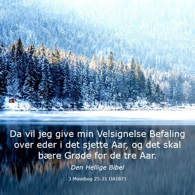 Picture 03 - 3 Mosebog 25:21 DA1871 - Da vil jeg give min Velsignelse Befaling over - Bible Verse Picture