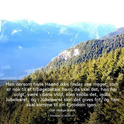 Picture 03 - 3 Mosebog 25:28 DA1871 - Men dersom hans Haand ikke finder saa meget, som - Bible Verse Picture