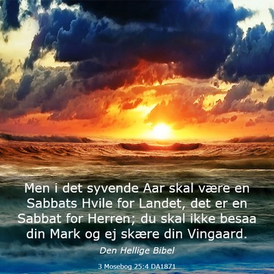 Picture 03 - 3 Mosebog 25:4 DA1871 - Men i det syvende Aar skal være en Sabbats Hvile - Bible Verse Picture