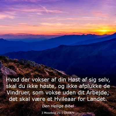Picture 03 - 3 Mosebog 25:5 DA1871 - Hvad der vokser af din Høst af sig selv, skal du - Bible Verse Picture