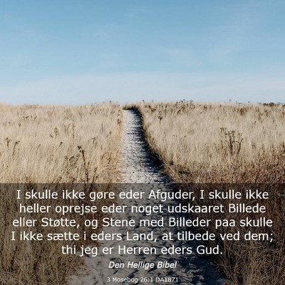 Picture 03 - 3 Mosebog 26:1 DA1871 - I skulle ikke gøre eder Afguder, I skulle ikke - Bible Verse Picture