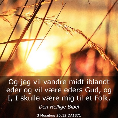 Picture 03 - 3 Mosebog 26:12 DA1871 - Og jeg vil vandre midt iblandt eder og vil være - Bible Verse Picture