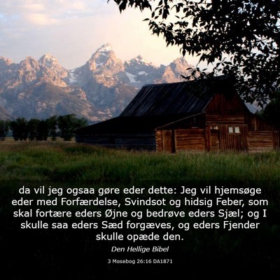 Picture 03 - 3 Mosebog 26:16 DA1871 - da vil jeg ogsaa gøre eder dette: Jeg vil - Bible Verse Picture