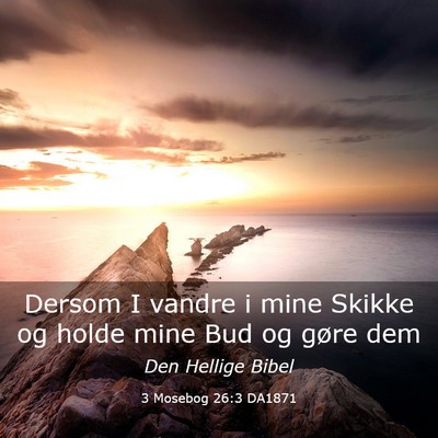 Picture 03 - 3 Mosebog 26:3 DA1871 - Dersom I vandre i mine Skikke og holde mine Bud - Bible Verse Picture