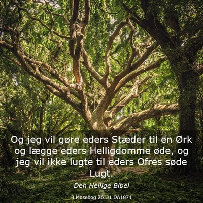 Picture 03 - 3 Mosebog 26:31 DA1871 - Og jeg vil gøre eders Stæder til en Ørk og - Bible Verse Picture