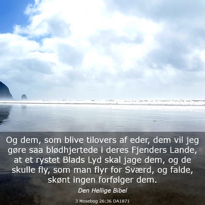 Picture 03 - 3 Mosebog 26:36 DA1871 - Og dem, som blive tilovers af eder, dem vil jeg - Bible Verse Picture