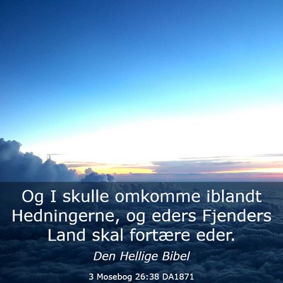 Picture 03 - 3 Mosebog 26:38 DA1871 - Og I skulle omkomme iblandt Hedningerne, og eders - Bible Verse Picture