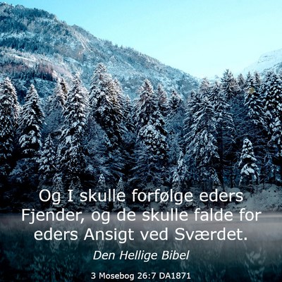 Picture 03 - 3 Mosebog 26:7 DA1871 - Og I skulle forfølge eders Fjender, og de skulle - Bible Verse Picture