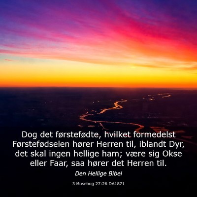 Picture 03 - 3 Mosebog 27:26 DA1871 - Dog det førstefødte, hvilket formedelst - Bible Verse Picture