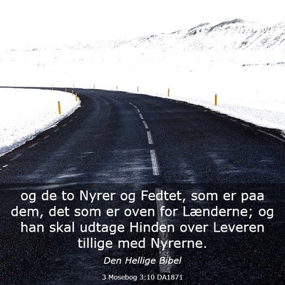 Picture 03 - 3 Mosebog 3:10 DA1871 - og de to Nyrer og Fedtet, som er paa dem, det som - Bible Verse Picture