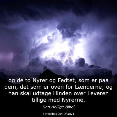 Picture 03 - 3 Mosebog 3:4 DA1871 - og de to Nyrer og Fedtet, som er paa dem, det som - Bible Verse Picture