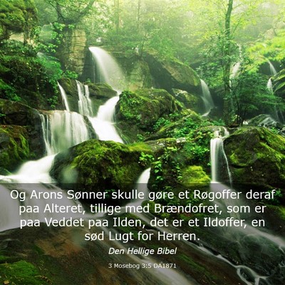 Picture 03 - 3 Mosebog 3:5 DA1871 - Og Arons Sønner skulle gøre et Røgoffer deraf - Bible Verse Picture