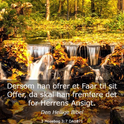 Picture 03 - 3 Mosebog 3:7 DA1871 - Dersom han ofrer et Faar til sit Offer, da skal - Bible Verse Picture