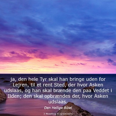 Picture 03 - 3 Mosebog 4:12 DA1871 - ja, den hele Tyr skal han bringe uden for Lejren, - Bible Verse Picture