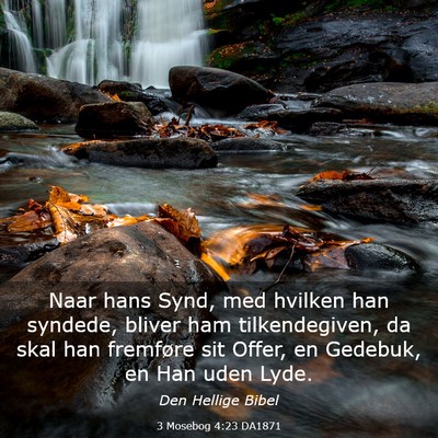 Picture 03 - 3 Mosebog 4:23 DA1871 - Naar hans Synd, med hvilken han syndede, bliver - Bible Verse Picture