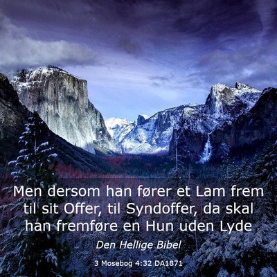 Picture 03 - 3 Mosebog 4:32 DA1871 - Men dersom han fører et Lam frem til sit Offer, - Bible Verse Picture