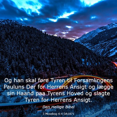 Picture 03 - 3 Mosebog 4:4 DA1871 - Og han skal føre Tyren til Forsamlingens Pauluns - Bible Verse Picture