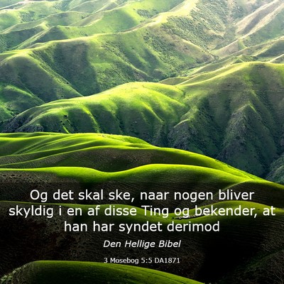 Picture 03 - 3 Mosebog 5:5 DA1871 - Og det skal ske, naar nogen bliver skyldig i en - Bible Verse Picture