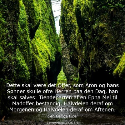 Picture 03 - 3 Mosebog 6:13 DA1871 - Dette skal være det Offer, som Aron og hans - Bible Verse Picture
