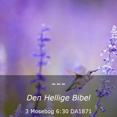 Picture 03 - 3 Mosebog 6:30 DA1871 -  - Bible Verse Picture