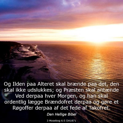 Picture 03 - 3 Mosebog 6:5 DA1871 - Og Ilden paa Alteret skal brænde paa det, den - Bible Verse Picture