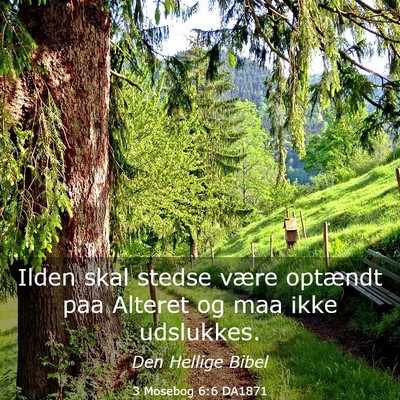 Picture 03 - 3 Mosebog 6:6 DA1871 - Ilden skal stedse være optændt paa Alteret og - Bible Verse Picture