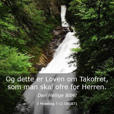 Picture 03 - 3 Mosebog 7:11 DA1871 - Og dette er Loven om Takofret, som man skal ofre - Bible Verse Picture