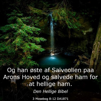 Picture 03 - 3 Mosebog 8:12 DA1871 - Og han øste af Salveolien paa Arons Hoved og - Bible Verse Picture
