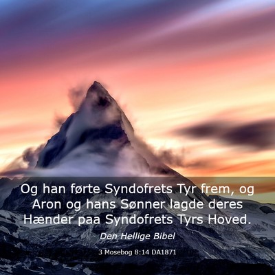 Picture 03 - 3 Mosebog 8:14 DA1871 - Og han førte Syndofrets Tyr frem, og Aron og - Bible Verse Picture
