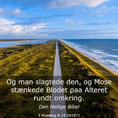 Picture 03 - 3 Mosebog 8:19 DA1871 - Og man slagtede den, og Mose stænkede Blodet paa - Bible Verse Picture