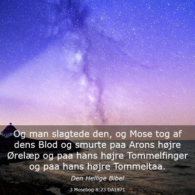 Picture 03 - 3 Mosebog 8:23 DA1871 - Og man slagtede den, og Mose tog af dens Blod og - Bible Verse Picture