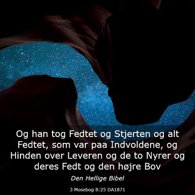 Picture 03 - 3 Mosebog 8:25 DA1871 - Og han tog Fedtet og Stjerten og alt Fedtet, som - Bible Verse Picture