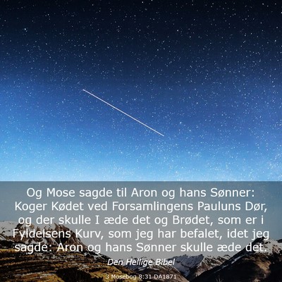 Picture 03 - 3 Mosebog 8:31 DA1871 - Og Mose sagde til Aron og hans Sønner: Koger - Bible Verse Picture