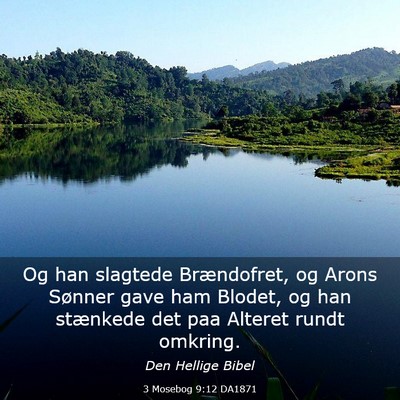 Picture 03 - 3 Mosebog 9:12 DA1871 - Og han slagtede Brændofret, og Arons Sønner - Bible Verse Picture