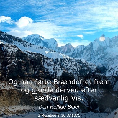 Picture 03 - 3 Mosebog 9:16 DA1871 - Og han førte Brændofret frem og gjorde derved - Bible Verse Picture