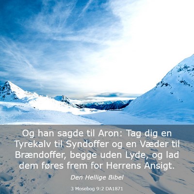 Picture 03 - 3 Mosebog 9:2 DA1871 - Og han sagde til Aron: Tag dig en Tyrekalv til - Bible Verse Picture