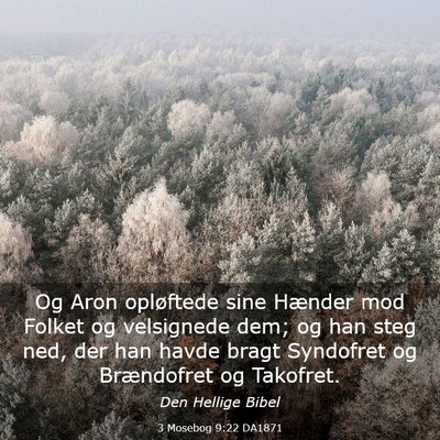 Picture 03 - 3 Mosebog 9:22 DA1871 - Og Aron opløftede sine Hænder mod Folket og - Bible Verse Picture