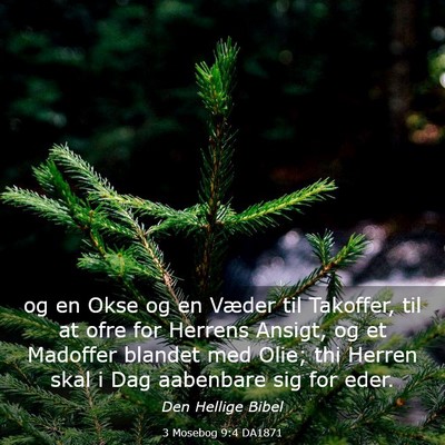 Picture 03 - 3 Mosebog 9:4 DA1871 - og en Okse og en Væder til Takoffer, til at ofre - Bible Verse Picture