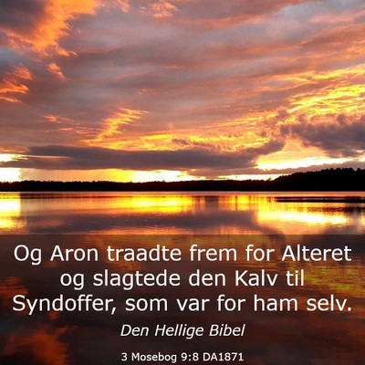 Picture 03 - 3 Mosebog 9:8 DA1871 - Og Aron traadte frem for Alteret og slagtede den - Bible Verse Picture