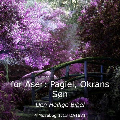 Picture 03 - 4 Mosebog 1:13 DA1871 - for Aser: Pagiel, Okrans - Bible Verse Picture