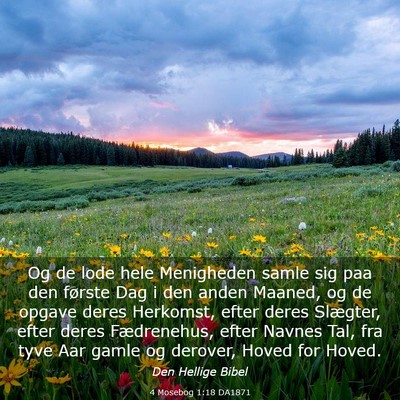 Picture 03 - 4 Mosebog 1:18 DA1871 - Og de lode hele Menigheden samle sig paa den - Bible Verse Picture