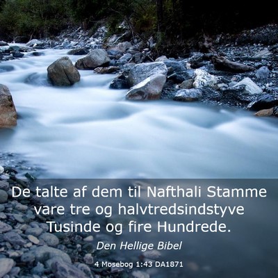 Picture 03 - 4 Mosebog 1:43 DA1871 - De talte af dem til Nafthali Stamme vare tre og - Bible Verse Picture