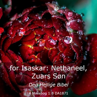 Picture 03 - 4 Mosebog 1:8 DA1871 - for Isaskar: Nethaneel, Zuars - Bible Verse Picture