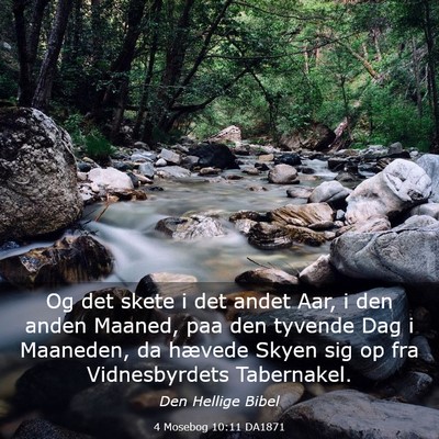 Picture 03 - 4 Mosebog 10:11 DA1871 - Og det skete i det andet Aar, i den anden Maaned, - Bible Verse Picture