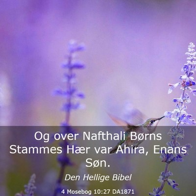 Picture 03 - 4 Mosebog 10:27 DA1871 - Og over Nafthali Børns Stammes Hær var Ahira, - Bible Verse Picture