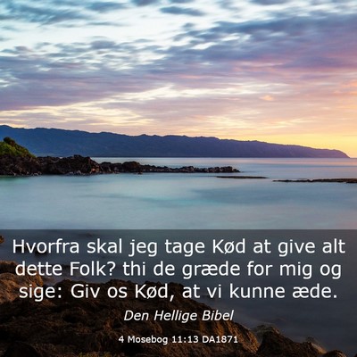 Picture 03 - 4 Mosebog 11:13 DA1871 - Hvorfra skal jeg tage Kød at give alt dette - Bible Verse Picture