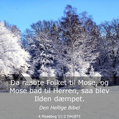 Picture 03 - 4 Mosebog 11:2 DA1871 - Da raabte Folket til Mose, og Mose bad til - Bible Verse Picture