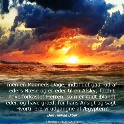 Picture 03 - 4 Mosebog 11:20 DA1871 - men en Maaneds Dage, indtil det gaar ud af eders - Bible Verse Picture
